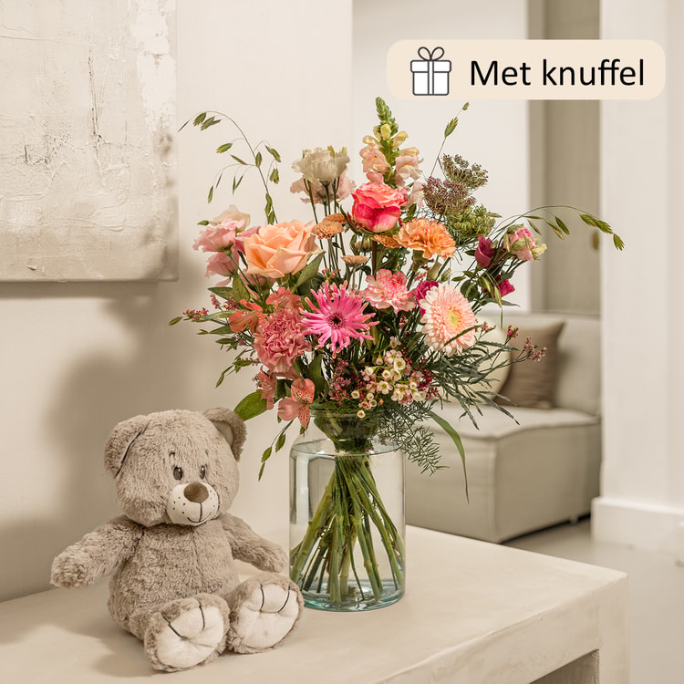 Cadeauset Dikke knuffel hover